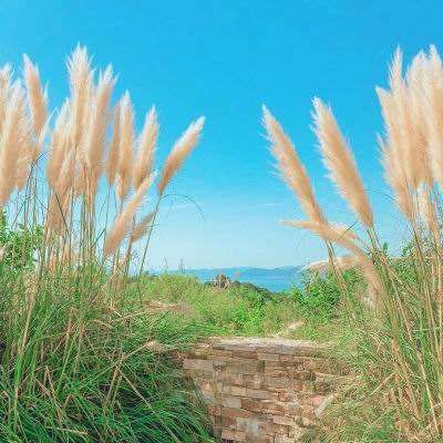 中金缪延亮：油价冲击会导致央行加息潮吗？