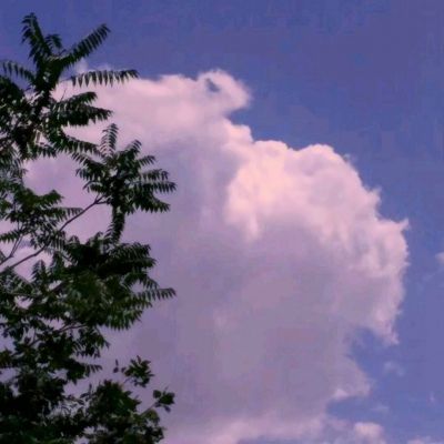 解码宇树科技背后资本局：市场化机构抓住“非共识”机遇 红杉账面回报超25亿元